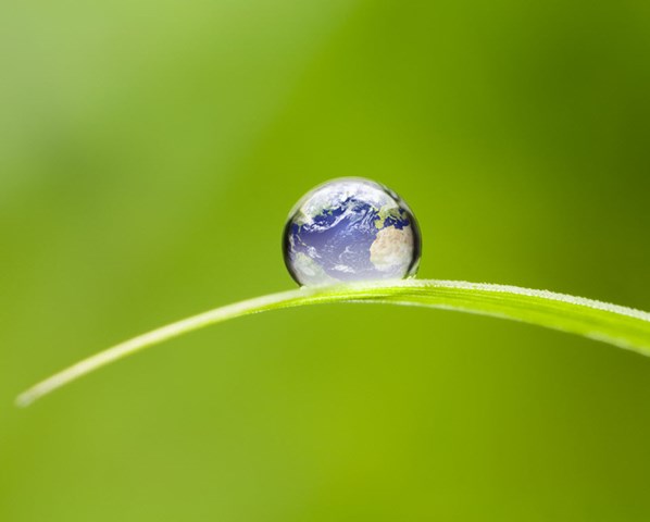 A globe with a natural background