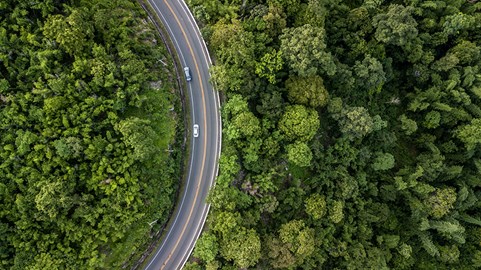 A long highway between the woods