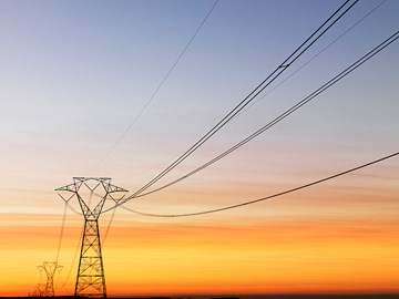 Electricity pylon with cables