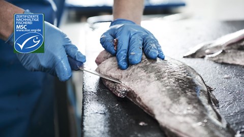 fish butchering